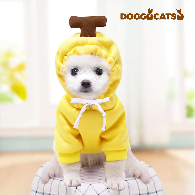 The DOGGOCATSO™ Cute Pet Hoodie
