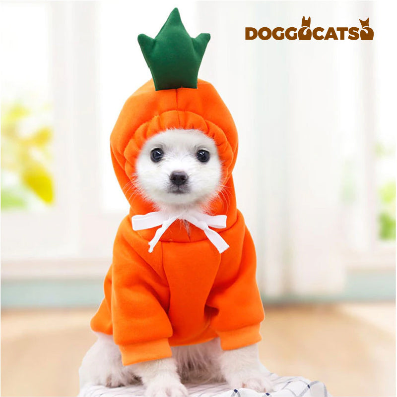 The DOGGOCATSO™ Cute Pet Hoodie