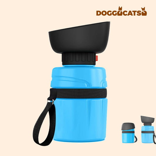 The DOGGOCATSO™ Outdoor Water Bottle